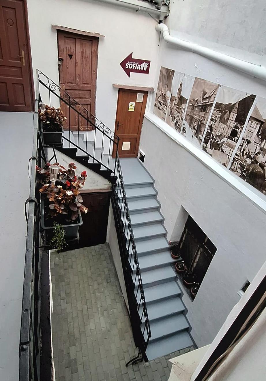 Apartment Sofia Braşov Eksteriør bilde
